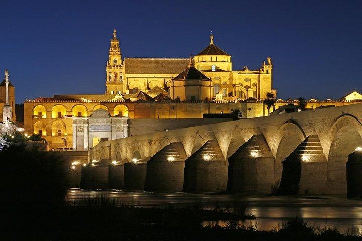 Privé 8 uur durende tour naar Cordoba vanuit Sevilla met hotel pick-up