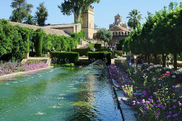 Privé 8 uur durende tour naar Cordoba vanuit Sevilla met hotel pick-up