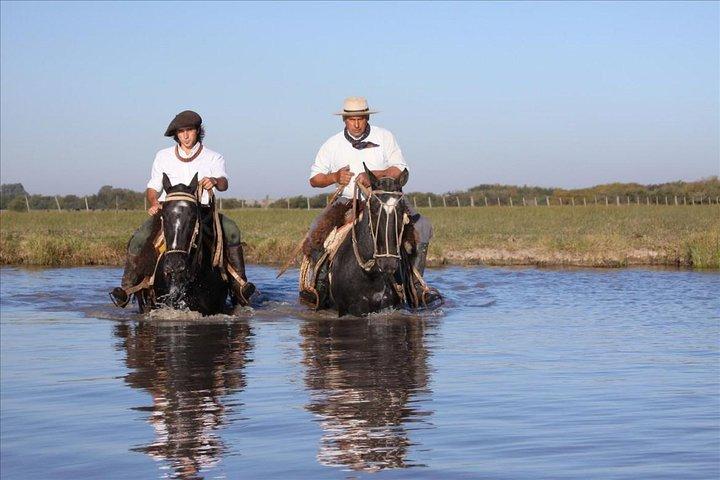 アルゼンチンの田舎エスタンシアで本格農場の日