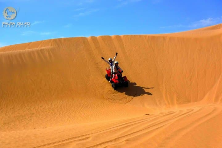 Big dunes and atlantic coast tour 2 HOURS