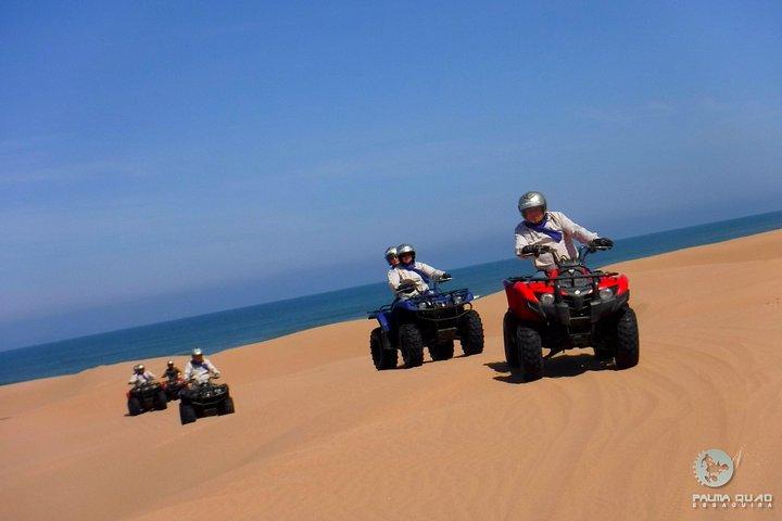 Big Cap Sim dunes and forest 3 hours tour.