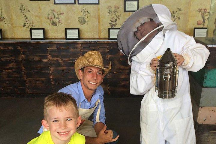 Scopri la nostra fattoria del miele e l'apicoltura