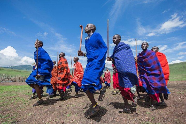 Tanzania Safari - La grande migration au nord du Serengeti et du lac Natron