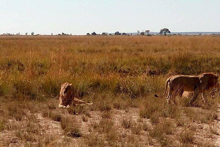 Gita di un giorno a Chobe da Livingstone, Zambia