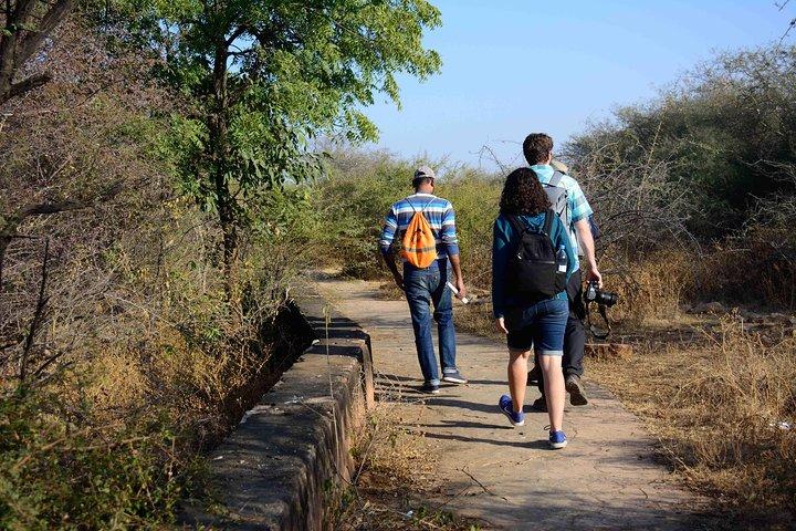 Nahargarh Water Walk - Geführte 2-stündige Kulturerbe-Tour in Jaipur