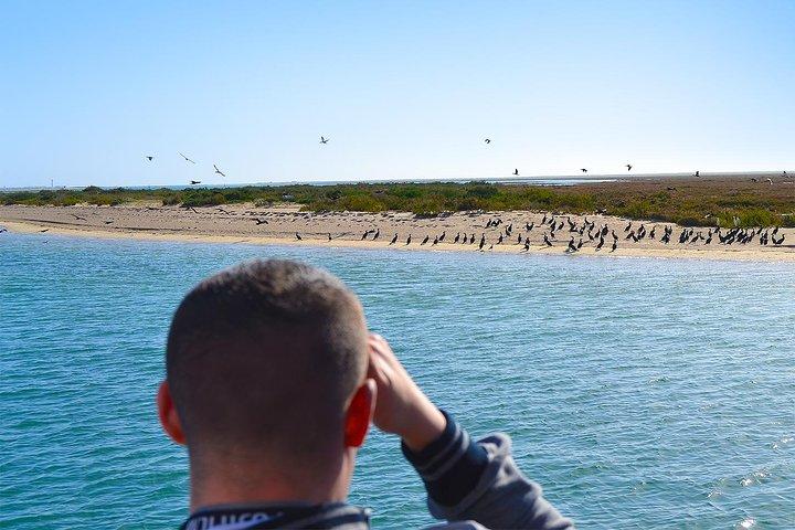 De Faro : Ria Formosa Eco Tour guidé par un biologiste marin