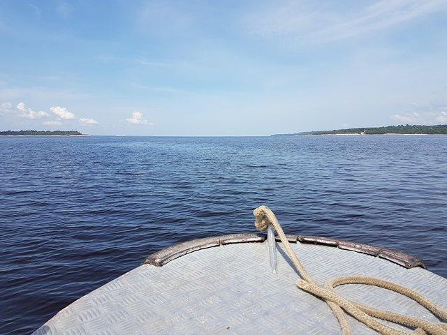 8 horas Amazonas Jungle Treck y Anavilhanas Archipelago