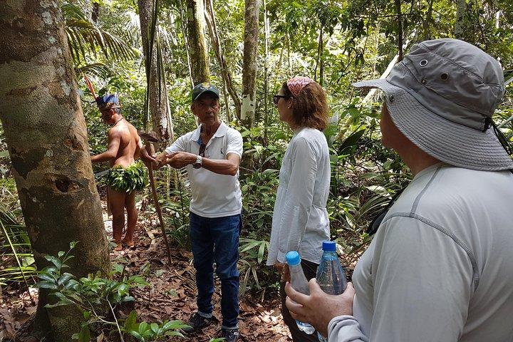 8 horas Amazonas Jungle Treck y Anavilhanas Archipelago