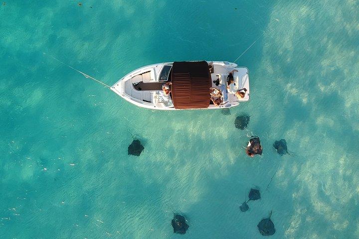 Privat, luksus, brugerdefinerede charter til Stingray City, Snorkeling & More