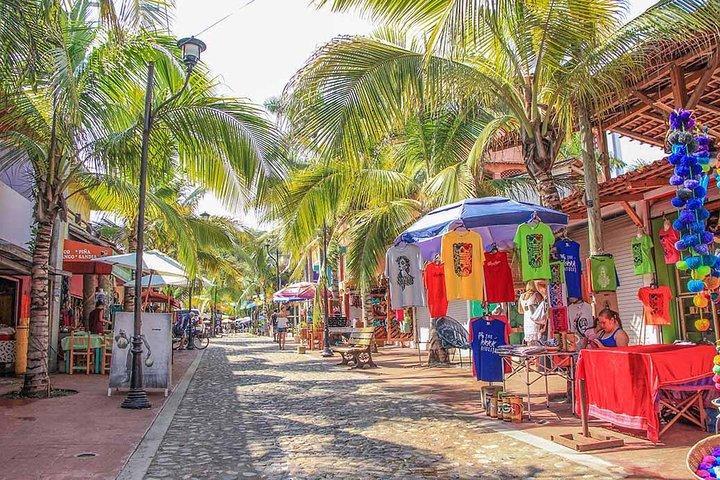 Intera giornata Sayulita e San Pancho da Puerto Vallarta
