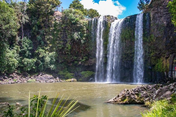 Private Tour: Bay of Islands Day Trip from Auckland