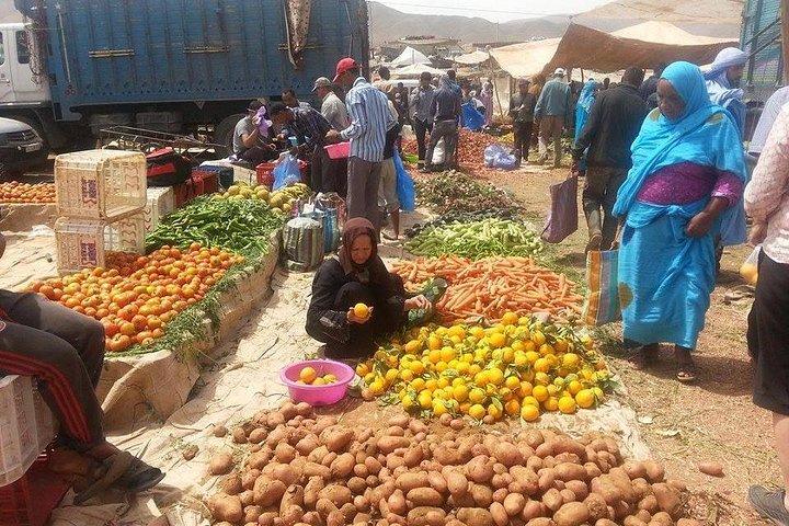 Private Day trip from Marrakech to Atlas Mountains