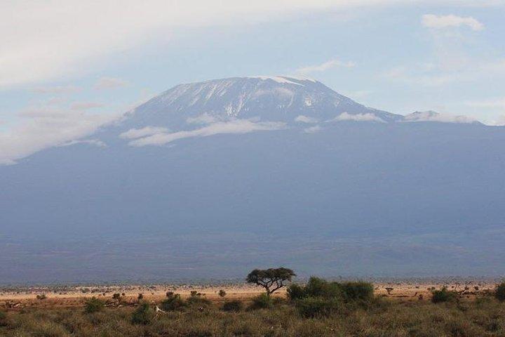 3-daagse Amboseli National Park - Groepssafari
