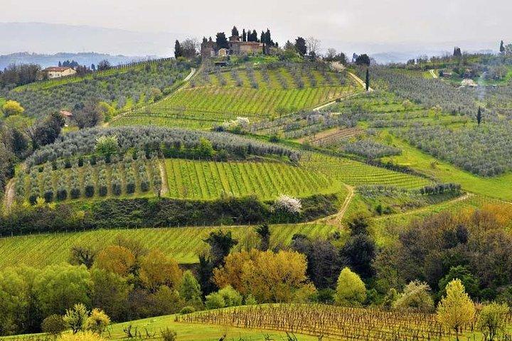 Privétour van Florence naar Cortona en Arezzo