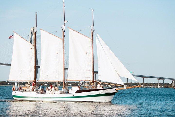 Afternoon Schooner Sightseeing Delfinkryssning på Charleston Harbor