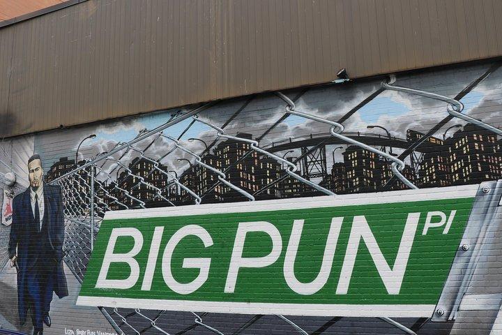 Contrastes de Nueva York: Manhattan, El bronx, Queens & Brooklyn