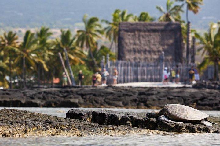 Kona Tour: Bee Farm, Kona Coffee, and National Historical Parks