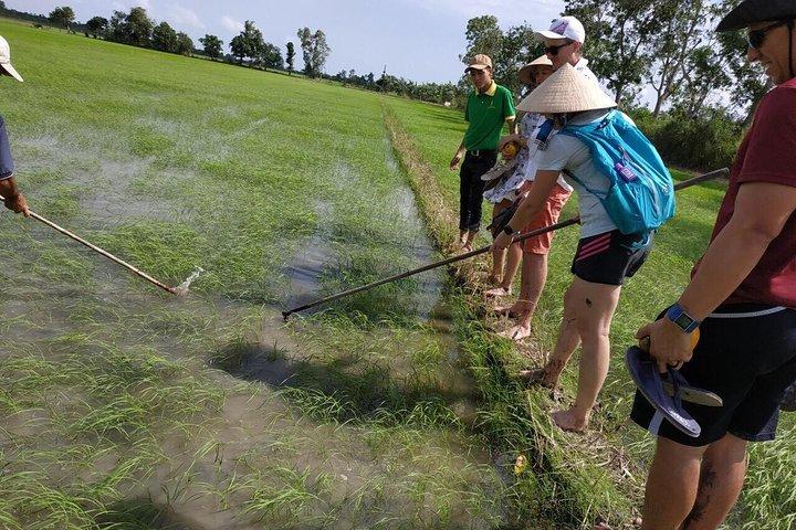 Dia Cheio - CAI RANG MERCADO FLUTUANTE, COZINHAR A CLASSE E EXPLORE O CAMPO