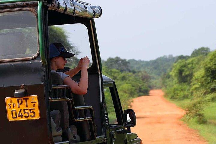 Ela: Transfer para Tangalle/Mirissa/Galle & Yala/Udawalawe Safari