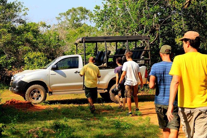 Ela: Transfer para Tangalle/Mirissa/Galle & Yala/Udawalawe Safari