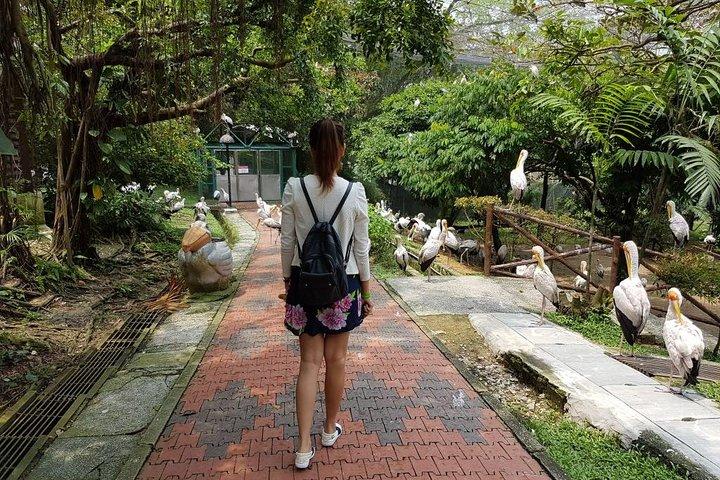 Bilhete de entrada para o Kuala Lumpur Bird Park com coleta particular