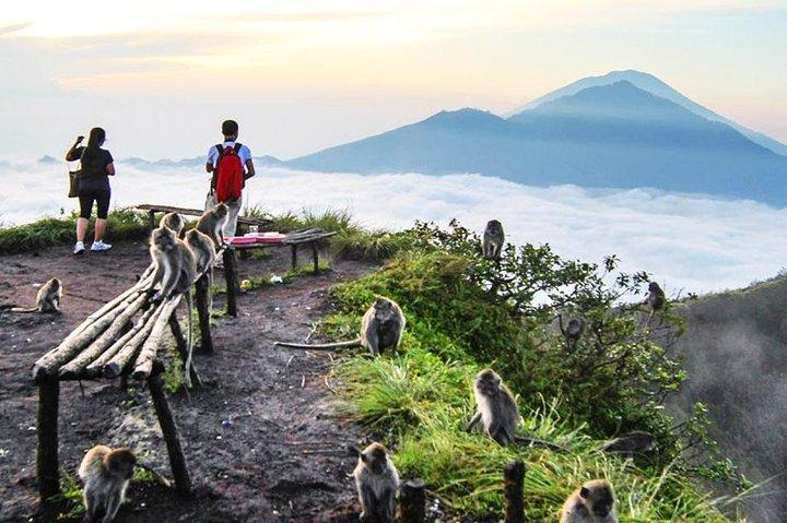 Verbluffende en prachtige Kintamani Highland Full Day Tour