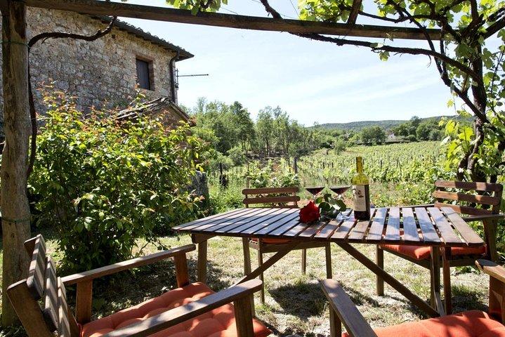 Visite privée du port de Livourne à la région viticole du Chianti