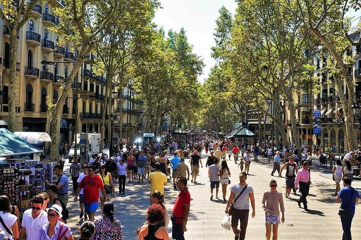 Privétour Park Guell en Sagrada Familia met ophalen bij hotel