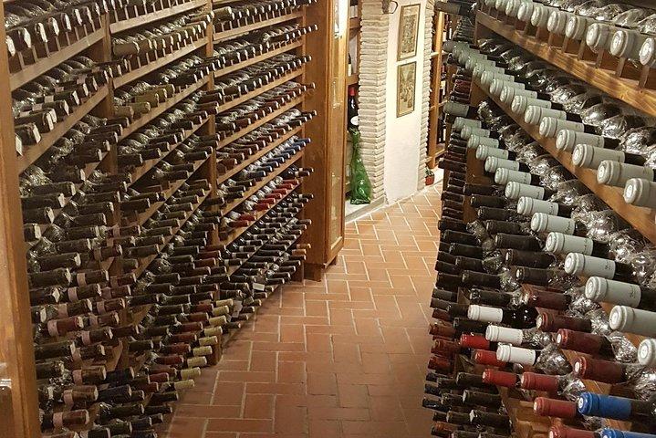 Campo romano: cata de vinos y comida, tour privado de un día