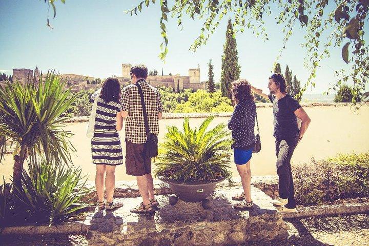 Granada Tour privado de tapas y caminata