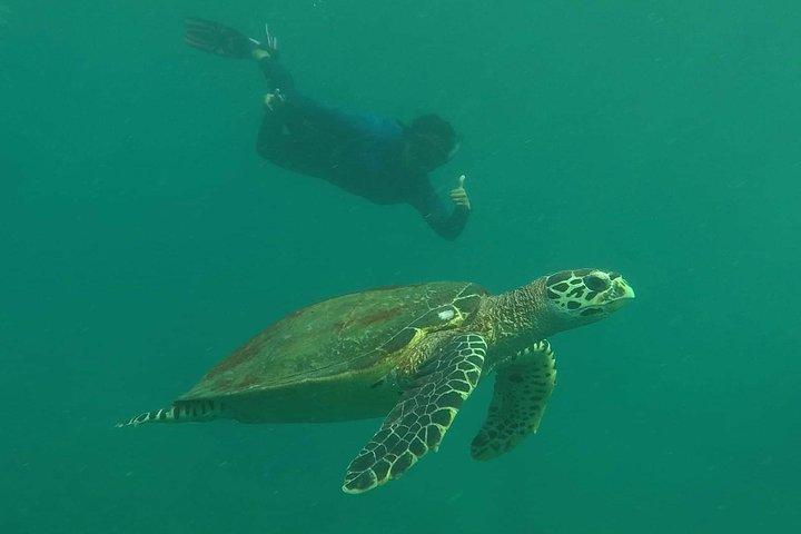 Private Phi Phi & 4 Islands Sunset Cruise mit dem Schnellboot - von Krabi