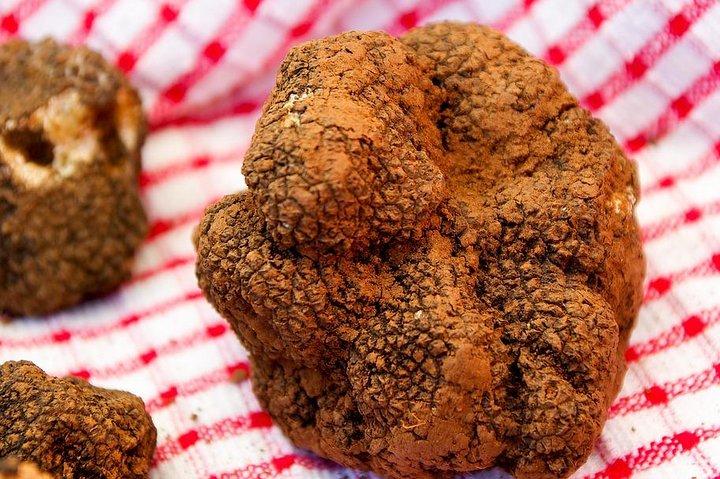 Sabores da experiência de degustação Istria de Trieste