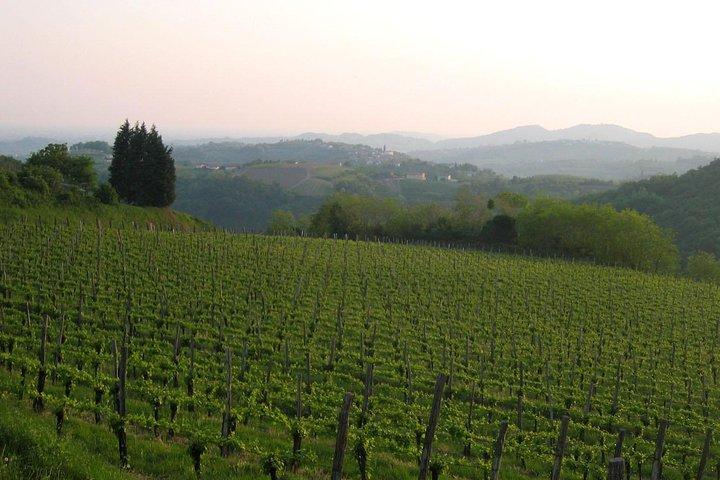 Collio: Cividale Del Friuli e Degustazioni di vini da Trieste