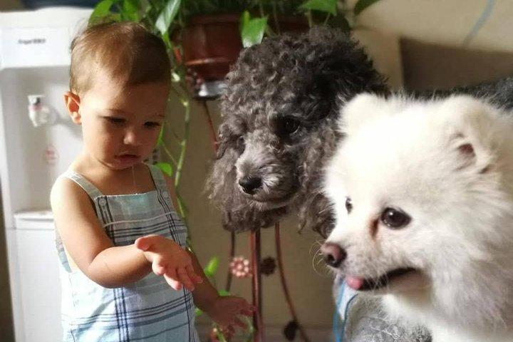 Privater Knödel-Kochkurs bei einer einheimischen Familie in Xi'an