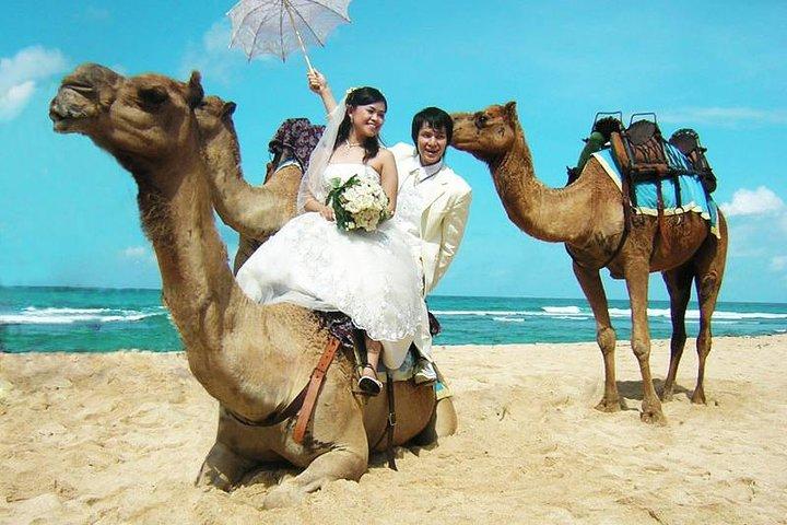 Camel Safari One Hour In White Sand Beach And Uluwatu Temple