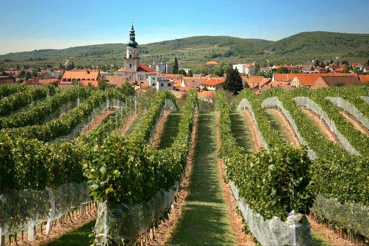 Privat lille karpatisk vintur