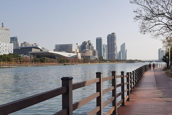 (Vehículo privado) Busan Tailored Tour: Curation for Food, Design, History, Culture
