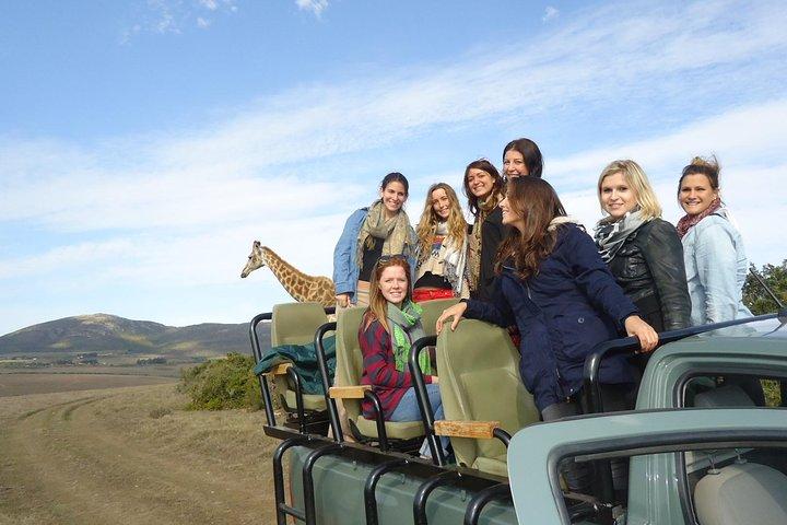3 giorni Garden Route Big 5 e Bungee Tour - Tour per piccoli gruppi