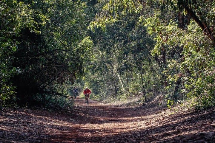 Urban Forest Tour in Nairobi