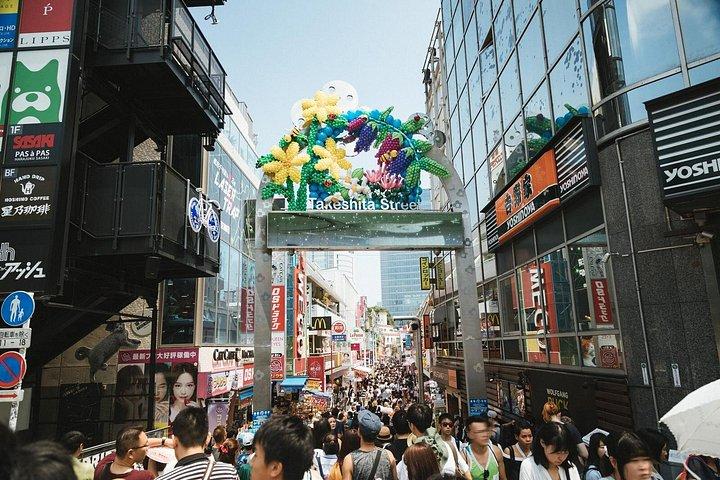 Tokyo Customizable Highlight Tour With A Licensed Private Guide
