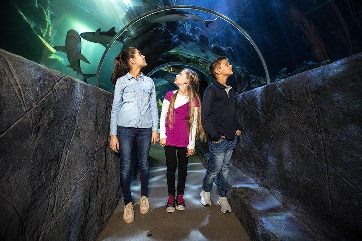 Entrada para o SEA LIFE Munich