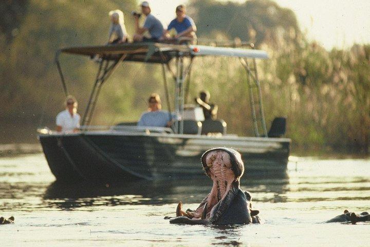 6 Tage Hwange, Chobe & Victoria Falls Combo