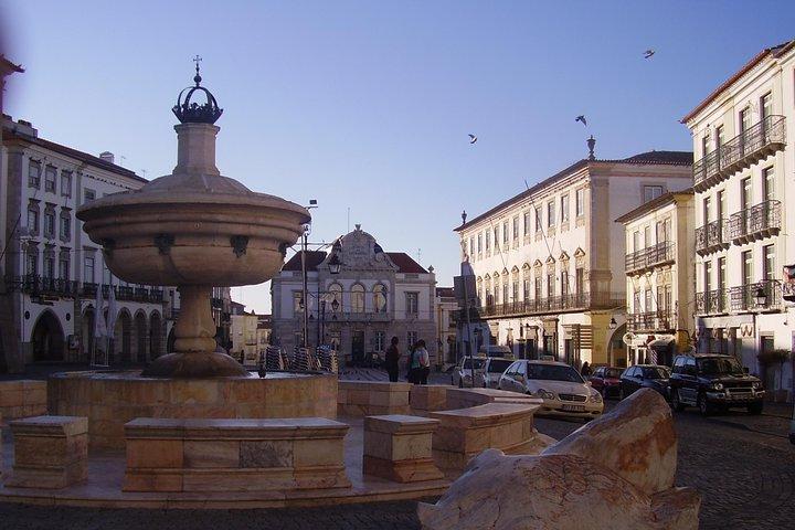 Evora and Monsaraz Wine Tasting Private Tour