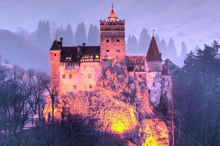 Bears Sanctuary、Dracula's Castle、Brasov Day Trip ブカレストからのプライベート ツアー