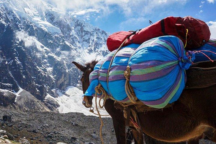 Salkantay Trek til Machu Picchu på 4 dage