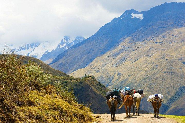 Salkantay Trek til Machu Picchu på 4 dage