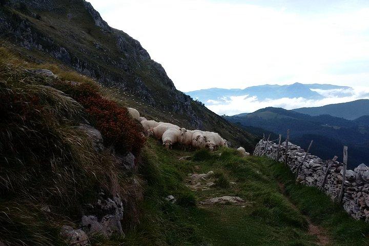Excursão privada ao campo e à costa