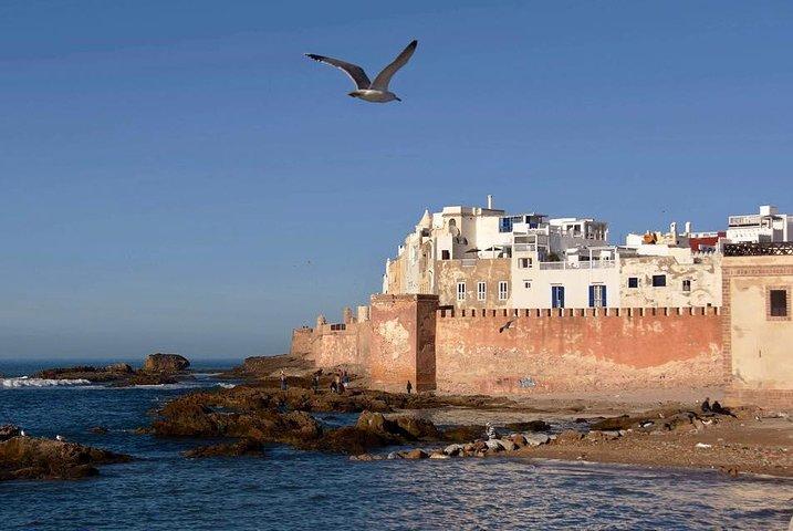 From Marrakesh : To Essaouira Full-Day Trip _ small-group