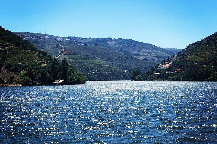Douro Valley Kleine groepstour met twee wijnhuizen, lunch en boottocht