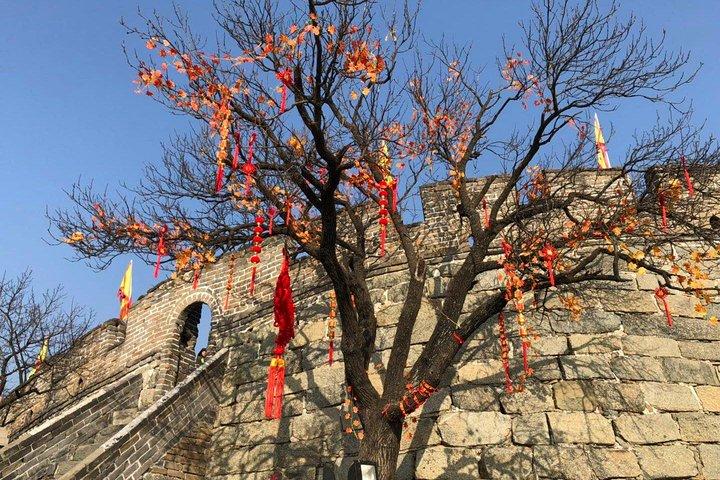 Half Day All-inclusive Private Tour to Mutianyu Great Wall and China Dream Stone from Beijing